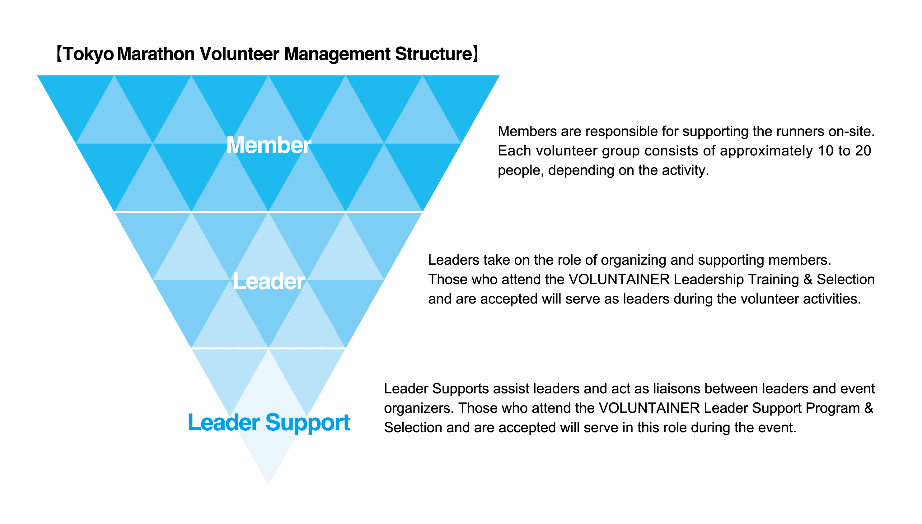 Volunteer Management